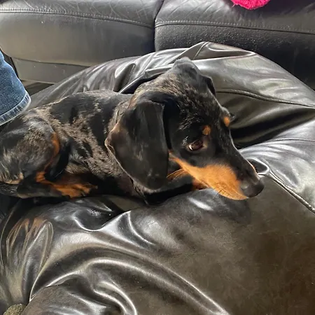 Hunthill Séjour chez l'habitant Tulach an Iarainn