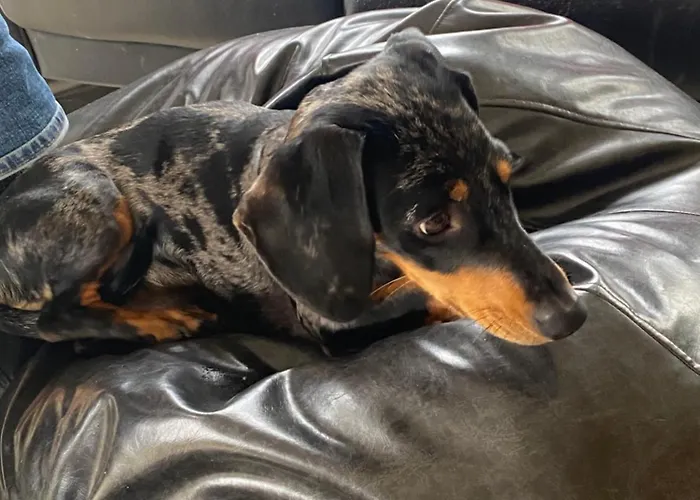 Hunthill בית אירוח Tulach an Iarainn